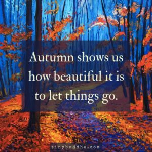 "Autumn shows us how beautiful it is to let things go." text graphic